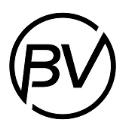 BlimpVentures LLC logo